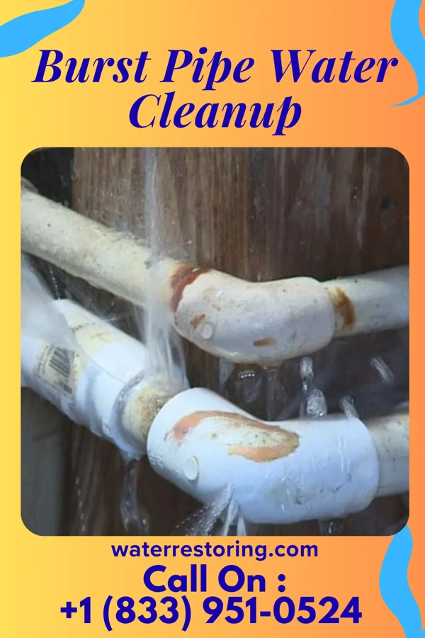 Burst Pipe Water Cleanup in West Milton, OH