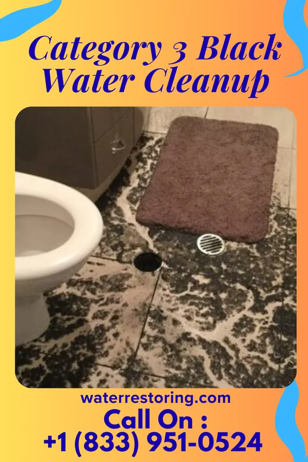 Category 3 Black Water Cleanup in West Milton, OH