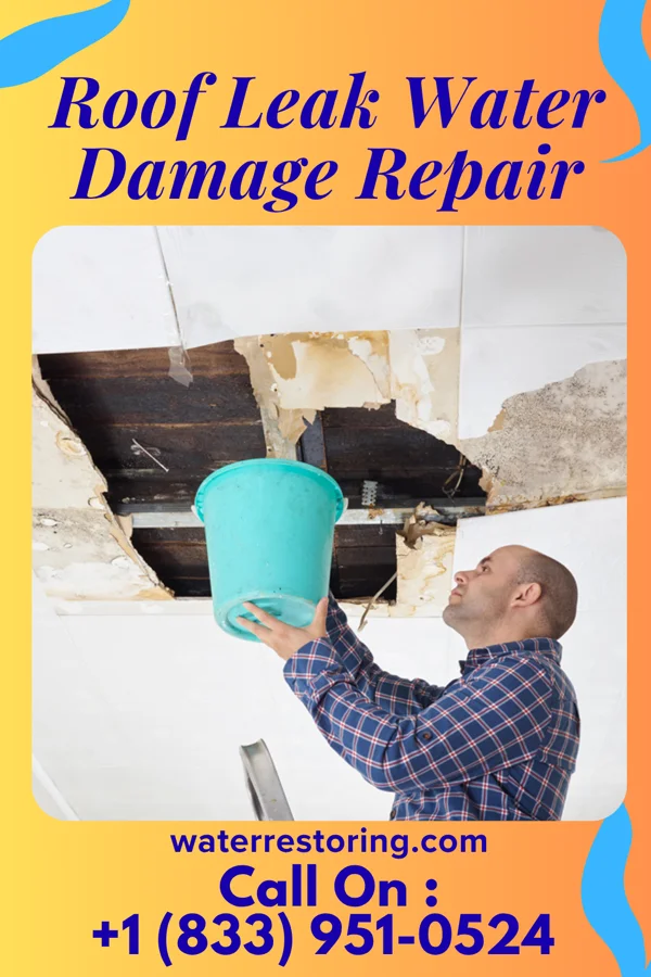 Roof Leak Water Damage Repair in West Milton, OH