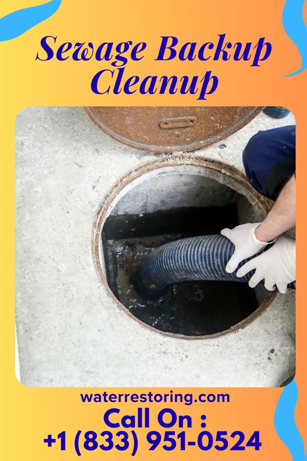 Sewage Backup Cleanup in West Milton, OH